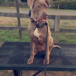 Fundraising Page: Kane PAC ALUM